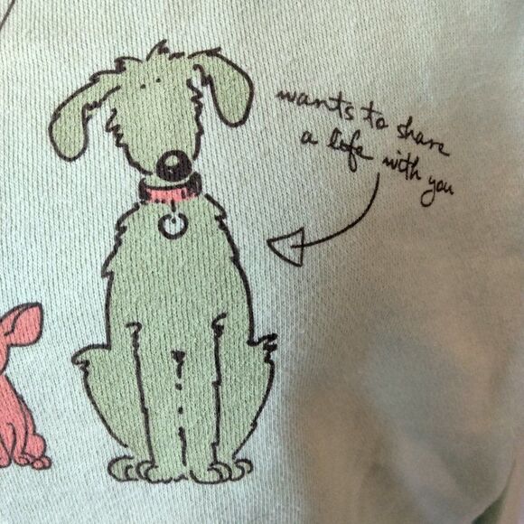 Find a Pal JUNIOR SMALL Crewneck Sweatshirt Celedon Green by Comfort Colors NWT - Picture 7 of 9